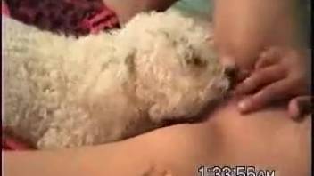 Stunning newbie broadcasts her live cam beastly porn fetish worldwide
