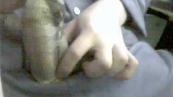 Aroused dude allows serpent to swallow his massive cock