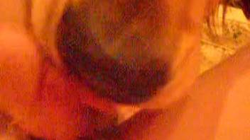 Canine tongues dude's dick as the guy masturbates