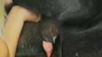 Colombian cutie getting fucked by a thirsty pooch