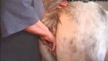 Intense erotic pleasure for a busty mature woman in homemade adult video