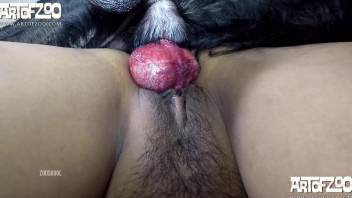Shapely ass Latina getting licked and then gaped by a dog