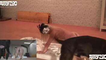 Masked Latina becomes a dog's fuck toy on camera