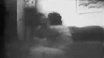 Vintage B&W zoo fuck video with two bored housewives