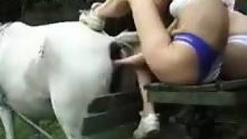 Dirty bitch fisting a mare while her friends fuck