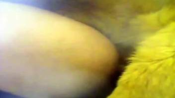 Big booty dude getting fucked in the ass by a dog