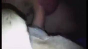 Guy bangs a super hot pup with his dick