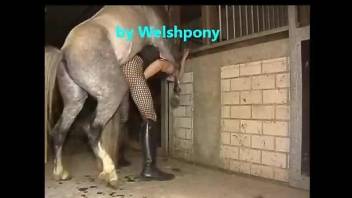 Crossdressing dude gets his asshole fucked by a stallion