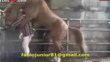Pasty booty dude getting fucked by his hung stallion