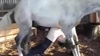 Gay bottom showing his gaped ass after stallion sex