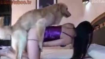 Horny woman plays with the dog's dick in a pretty spicy show q