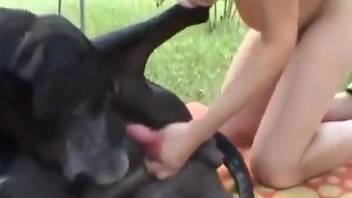 Pregnant chick getting fucked by a dog in her backyard