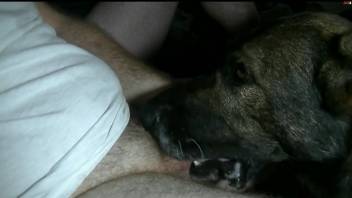 Fat dude face-fucking his submissive dog on camera