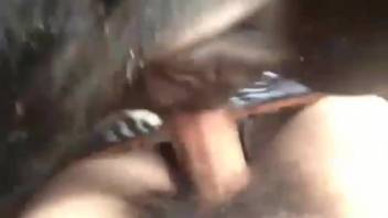 Female horse with an attractive opening relishing steamy intercourse