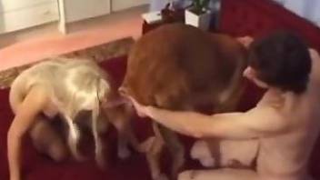 Stockings-wearing blonde fucks a dog in front of her hubby