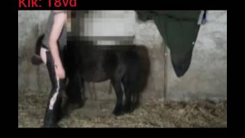 Sexy babe in leather trousers being fucked by a pony