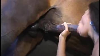 Porn horse hot