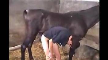 Hot guy worships a horse's cock in a hot porn vid