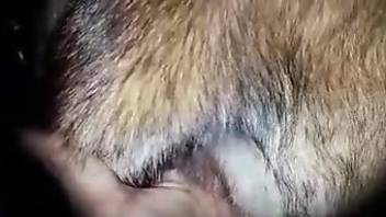 Close-up zoophile fuck video that you will totally love