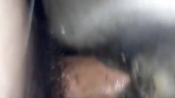 Sexy dude penetrates the snug vagina of a steamy beast