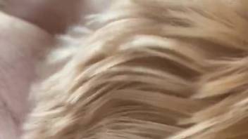 Sexy beast tongues that gorgeous cock in front of the camera