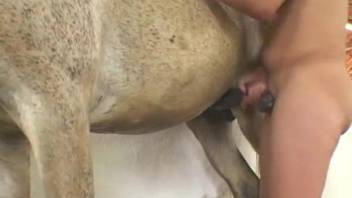 Chubby chick getting screwed orally by a horse