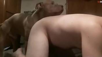 Ass licked by his dog in intimate zoophilia XXX