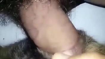 Hairy dick creature is perfect for this beast's pussy