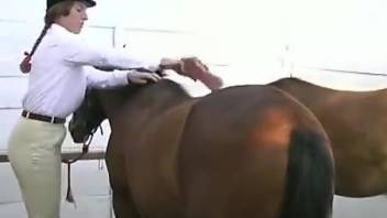 Horse loving zoophile is going to get fucked up
