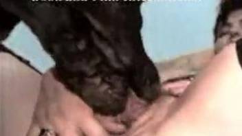 Black dog eating pussy and fucking pussy as well