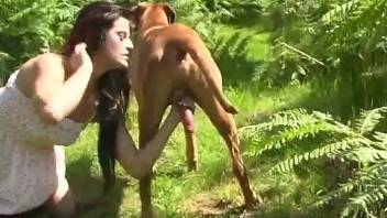 Slutty makeup babe puts her lips on a dog's penis