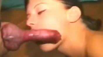Spicy female throats the dog's cock then lets it smash her cunt