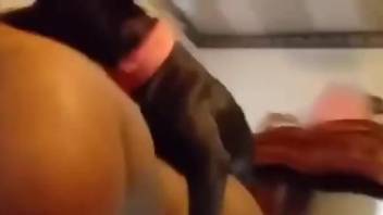 BBW babe getting screwed by a smaller beast from behind