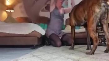 Twisted babe with a wet pussy allows the dog to enter