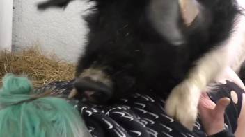 Green hair zoophile gest rammed by a sexy pig