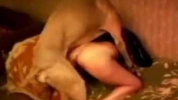 Fun-loving zoophile in latex screwed by a doggo
