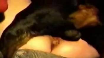 Dark haired lady is fucking a dog in the night