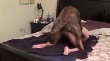 Doggystyle romp with a sexy animal that fucks