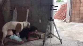 Aroused dude being screwed by a super horny pup