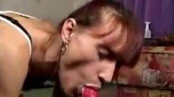 Sexy wife tries anal sex with the dog for the first time