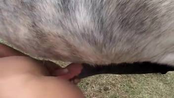 Bronzed vixen demolished by equine shaft