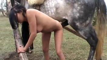 Tanned babe getting destroyed by a horse penis