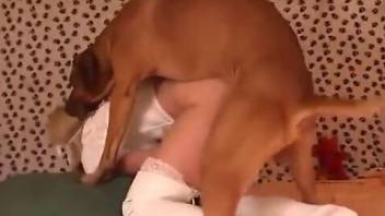 Blondie in white stockings goes on all fours to screw a dog