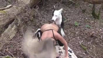 Leather pants lady getting screwed by her hot mutt