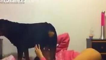 Brunette puts a dog's cock in her greedy mouth