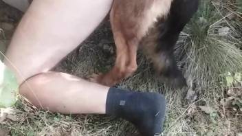 Dude's tight butt gets banged by a sexy animal