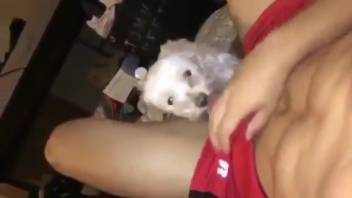 Muscular dude allows a dog to lick his dick while filming it.