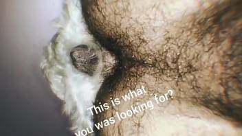 Hairy butthole dude getting plowed by his doggo