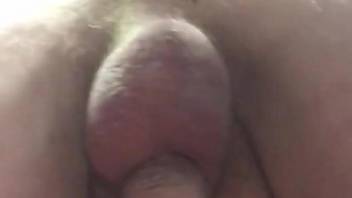 Hairy booty dude enjoying hardcore sex with a dog