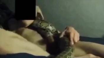 Dude fucks a snake and gets ready to cum in it